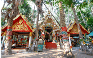 เลขเด็ดคำชะโนดงวด 1 กันยายน 2568 เน้นเลขเด่น   พร้อมชุดสามตัวตรงน่าลุ้น คอหวยแห่กันติดตาม