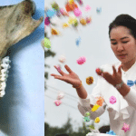 เปิดมิติใหม่แห่งความสำเร็จด้วย “จินตภาพ” เทคนิคคิดให้เป็นภาพที่คนระดับท็อป 1% ใช้กัน