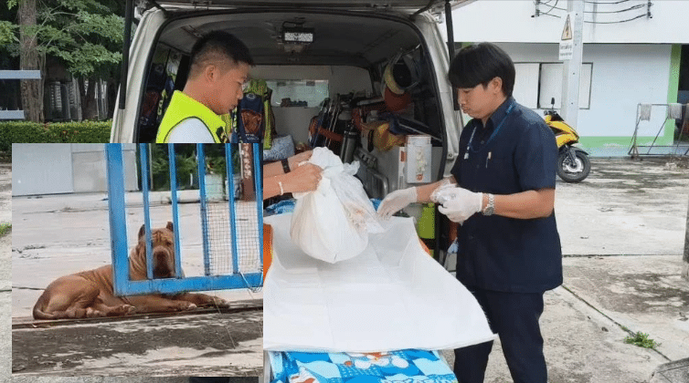 โศกนาฏกรรมสะเทือนใจ! เด็กทารกวัย 2 เดือนเสียชีวิตหลังถูกสุนัขพิตบูลกัดขย้ำที่อุทัยธานี