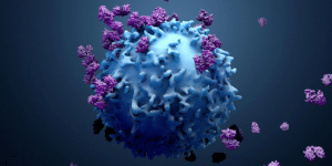 เปิดเผยความลับ “มือสังหารระดับโปร” ในร่างกายคนไทย: CD8+ T Cell ผู้พิทักษ์สุขภาพจากมะเร็ง