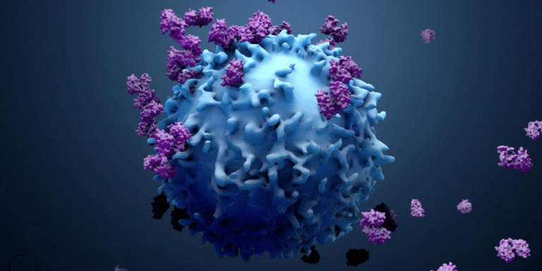 เปิดเผยความลับ “มือสังหารระดับโปร” ในร่างกายคนไทย: CD8+ T Cell ผู้พิทักษ์สุขภาพจากมะเร็ง